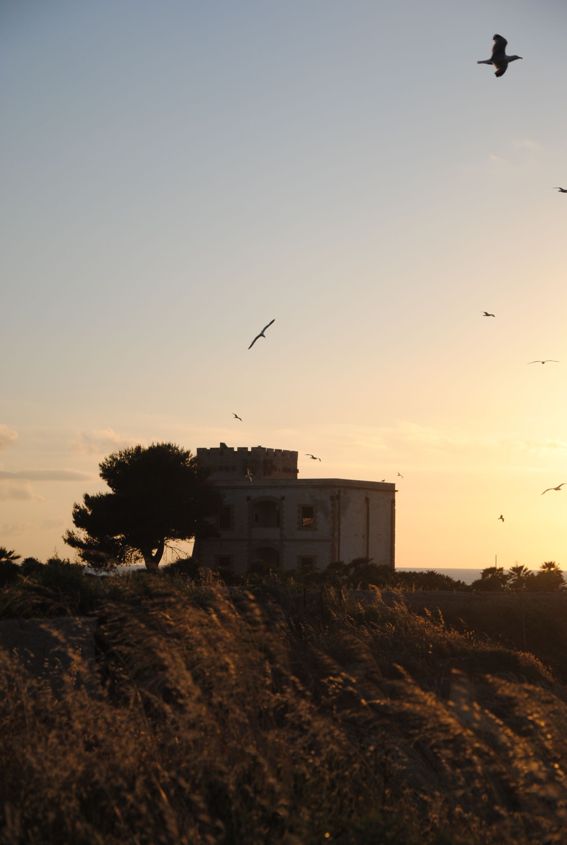 A quiet stone tower silhouetted at golden hour with birds overhead